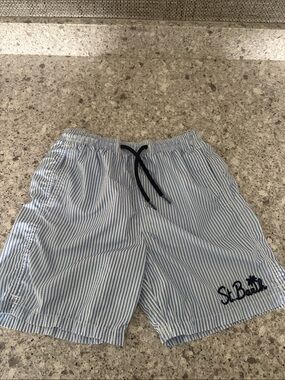 MC2 Saint Barth Light Blue and White Striped Kids Swim Trunks